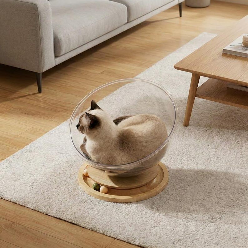 360 Rotating Space Capsule Cat Bed | Clear Acrylic Pod with Wooden Base | Modern Cat Lounger | Aesthetic Cat Furniture