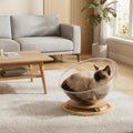 360 Rotating Space Capsule Cat Bed | Clear Acrylic Pod with Wooden Base | Modern Cat Lounger | Aesthetic Cat Furniture